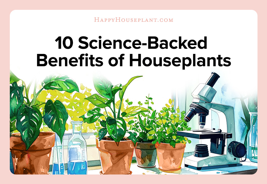 Featured image for the article "10 Science-Backed Benefits of Houseplants". Image includes the title and a watercolor painting of plants, a telescope and other science equipment.