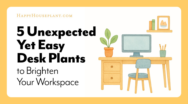 5 Unexpected Yet Easy Desk Plants to Brighten Your Workspace feature image