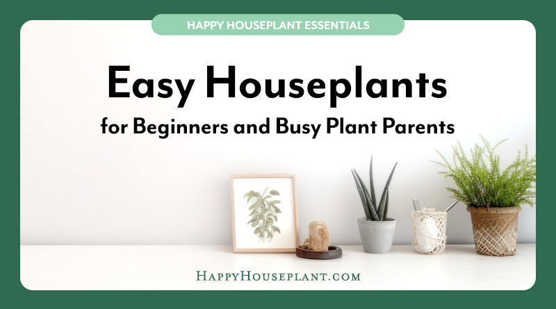 Easy Houseplants for Beginners and Busy People feature image including a title and an image of some houseplants mixed in with everyday items on a counter.