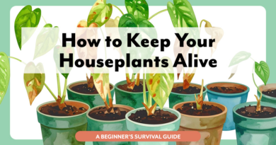 Illustration of a drooping, sickly houseplant with the text “How to Keep Your Houseplants Alive,” representing plant care tips and solutions for struggling indoor plants.