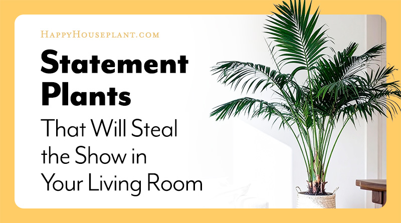 Statement Plants that will Steal the Show in Your Living Room feature image