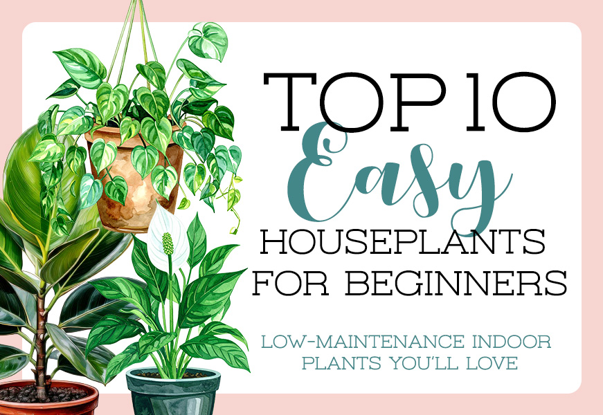 Featured image for the blog post ‘Top 10 Easy Houseplants for Beginners’ with illustrated houseplants including pothos, snake plant, spider plant, and peace lily, arranged around the bold title text on a clean background.
