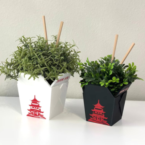 Chinese Take-Out Box Container