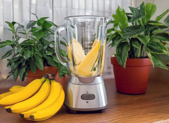 Banana peel fertilizer recipe blended with water for houseplants.