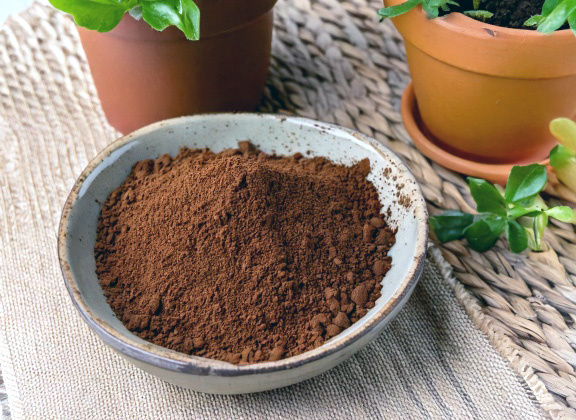 DIY coffee grounds fertilizer added to houseplant soil for nitrogen.