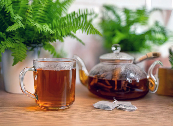 Used tea leaves fertilizer added to soil for acid-loving plants.