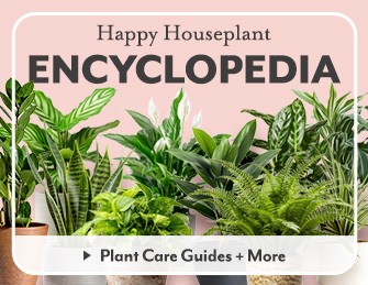 Happy Houseplant Encyclopedia - Plant Care Guides and More