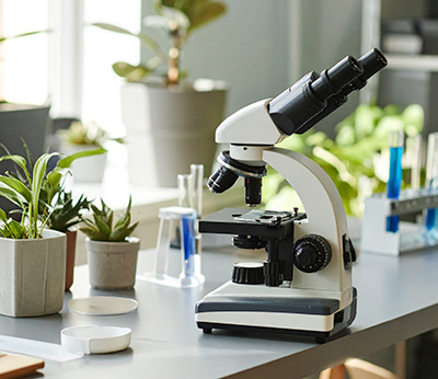 Microscope on desk with other scientific equipment and a few houseplants to illustrate the benefits of houseplants.